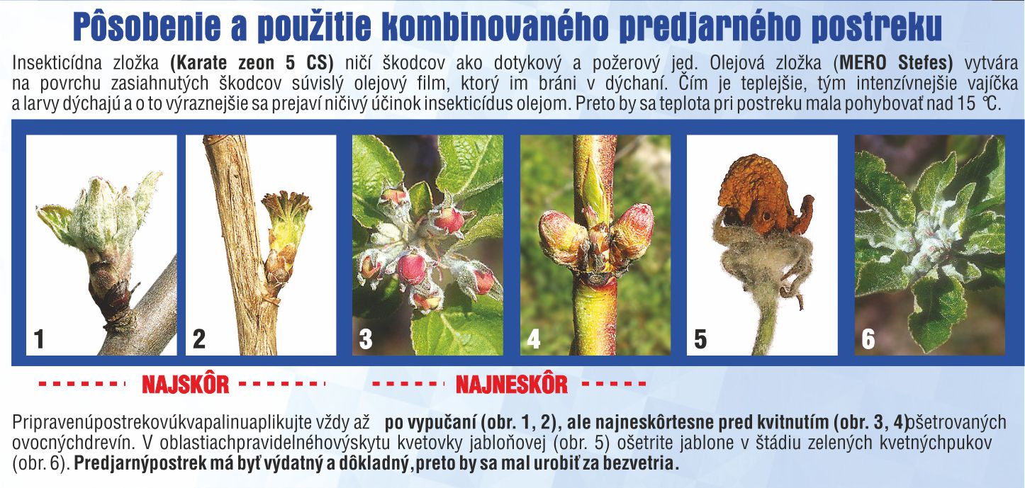 Lacné postreky - Predjarný postrek - použitie