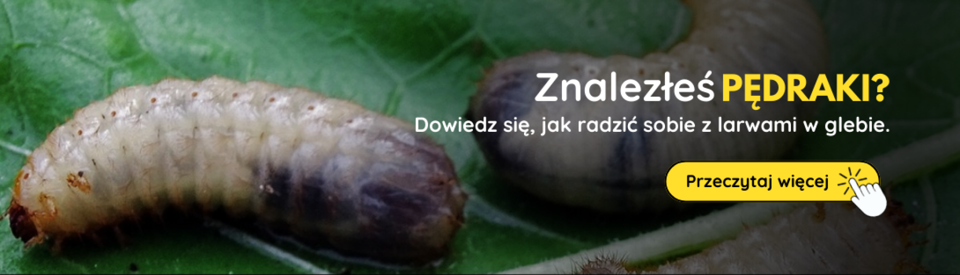 PL Pandravy (3,4,5,6,7,8,9,10) PL Pandravy (3,4,5,6,7,8,9,10)