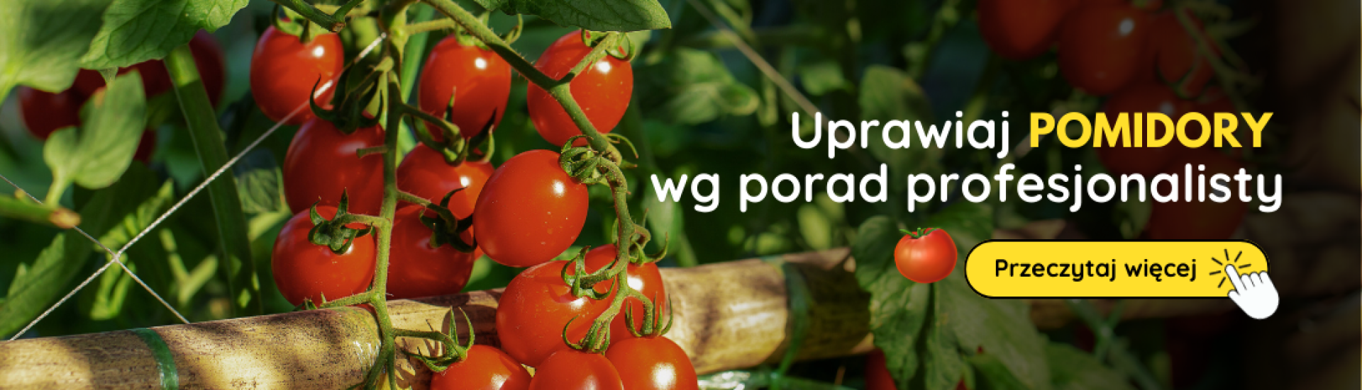 PL Pestovanie paradajok (3,4,5,6,7,8,9) PL Pestovanie paradajok (3,4,5,6,7,8,9)