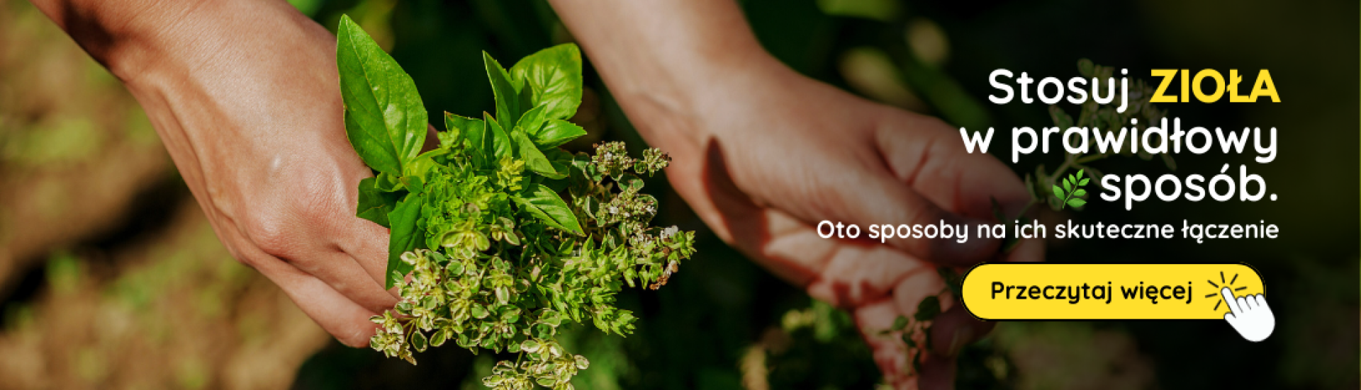 PL Pestovanie byliniek (4, 5,6,7,8,9) PL Pestovanie byliniek (4, 5,6,7,8,9)